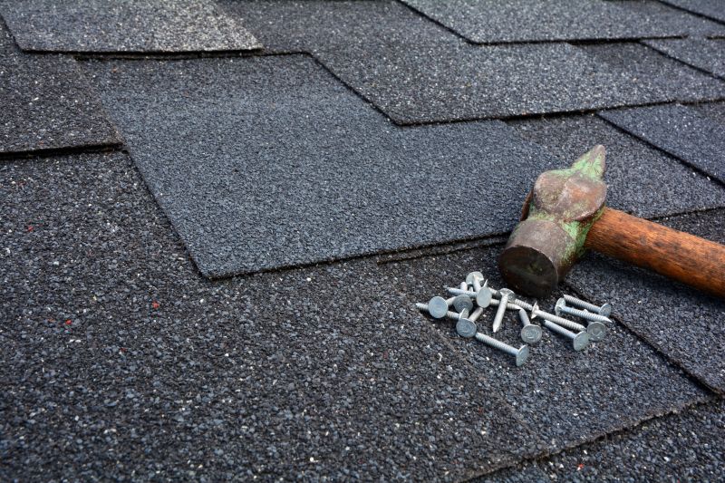 Shake Shingle Repair