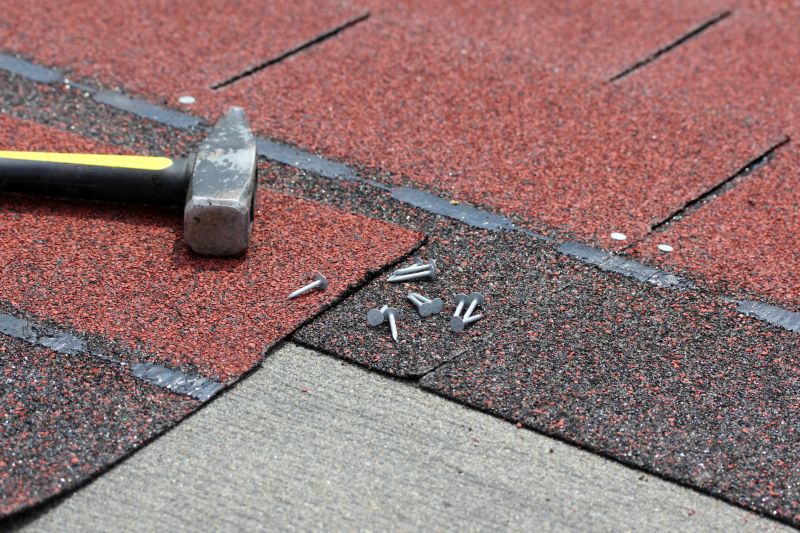 Shake Shingle Repair