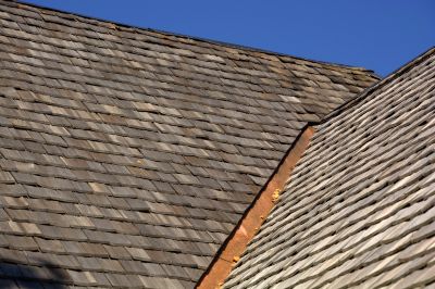 Shake Shingle Repair