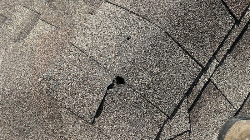 Damaged Shake Shingles